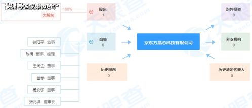 注冊資本9.5億元，京東方成立晶芯科技公司，深化布局物聯(lián)網(wǎng)技術(shù)服務(wù)