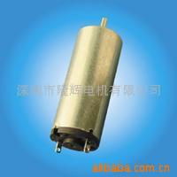 深圳市隆輝電機(jī) 電吹風(fēng)領(lǐng)域的專(zhuān)業(yè)制造者